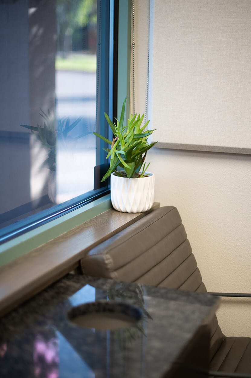 Plant and seating detail inside PureCare Dental in Bend
